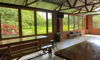 Se Vende Finca con  8.8 Hectáreas con Producción de Cacao y Piscinas  para peces  en Loreto Provincia de Orellana