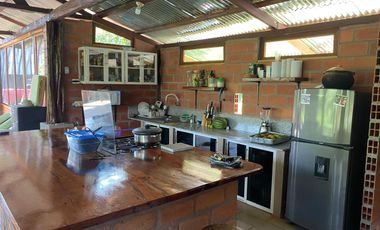 Se Vende Finca con  8.8 Hectáreas con Producción de Cacao y Piscinas  para peces  en Loreto Provincia de Orellana