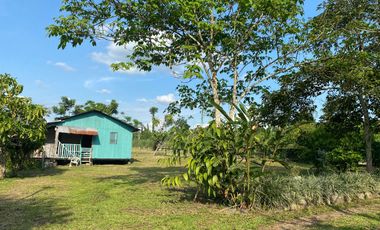 Se Vende Finca con  8.8 Hectáreas con Producción de Cacao y Piscinas  para peces  en Loreto Provincia de Orellana