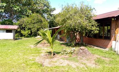 Se Vende Finca con  8.8 Hectáreas con Producción de Cacao y Piscinas  para peces  en Loreto Provincia de Orellana
