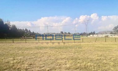 TERRENO EN VENTA EN ALMOLOYA DE JUÁREZ.