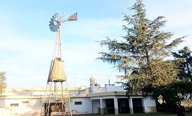 Chacra de 1 ha. en venta en Alvear: Ubicación Estratégica y Conectividad Óptima