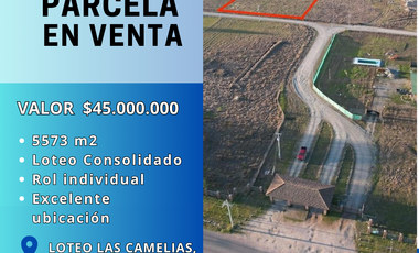 Parcela en venta Linares, Loteo Las Camelias