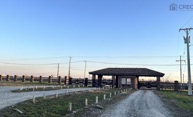 Parcela en venta Linares, Loteo Las Camelias