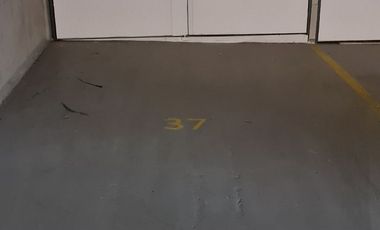 Se arrienda departamento en Concepción