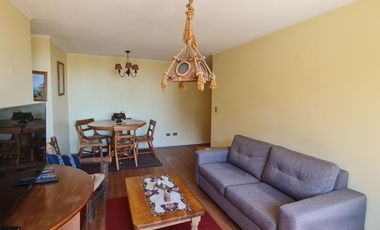 Se arrienda departamento amoblado en Concepción