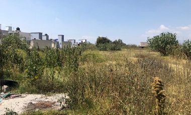 TERRENO COMERCIAL EN RENTA VISITACION MELCHOR OCAMPO