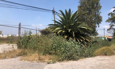 TERRENO COMERCIAL EN RENTA VISITACION MELCHOR OCAMPO