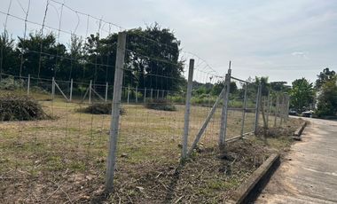 Corner Plot Land for Sale in San Sai, Chiang Mai
