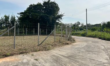 Corner Plot Land for Sale in San Sai, Chiang Mai