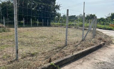 Corner Plot Land for Sale in San Sai, Chiang Mai
