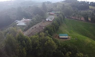 Finca Paramita