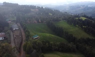 Finca Paramita