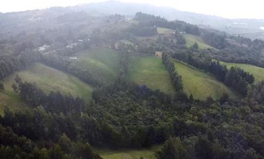 Finca Paramita