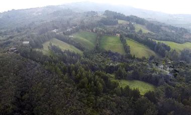 Finca Paramita