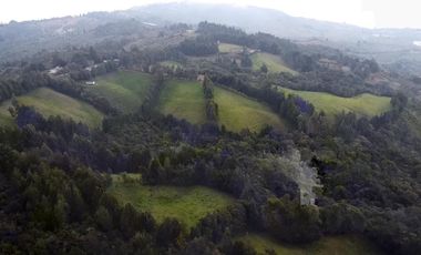 Finca Paramita