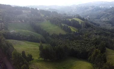 Finca Paramita