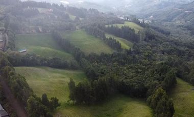 Finca Paramita