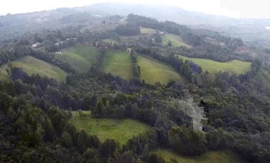 Finca Paramita