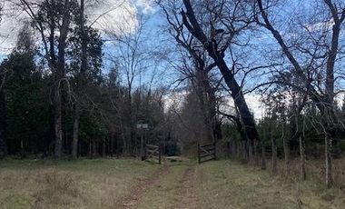 Campo Quilaco,  Los Ángeles