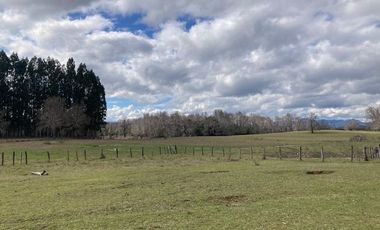 Campo Quilaco,  Los Ángeles