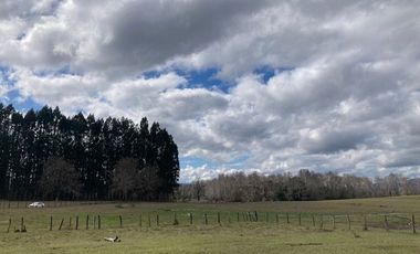 Campo Quilaco,  Los Ángeles