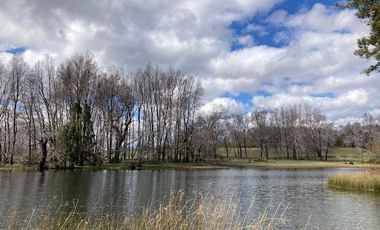 Campo Quilaco,  Los Ángeles