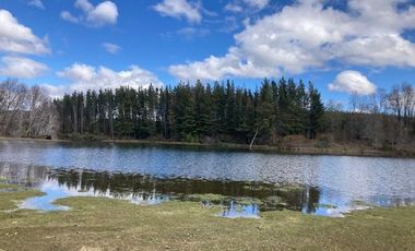 Campo Quilaco,  Los Ángeles