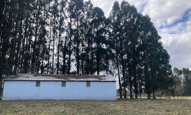 Campo Quilaco,  Los Ángeles