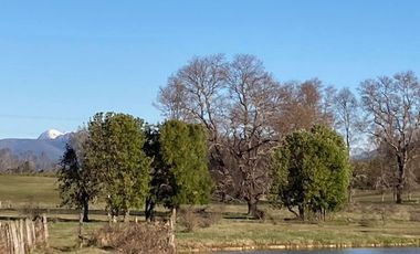 Campo Quilaco,  Los Ángeles