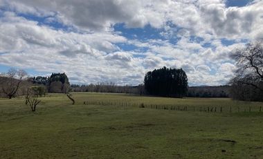 Campo Quilaco,  Los Ángeles