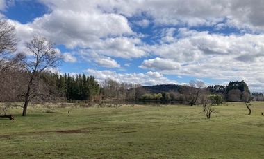 Campo Quilaco,  Los Ángeles