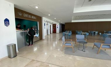 Departamento Venta 3 Rec Junto Bosque Alberca Gym Coto Seguridad