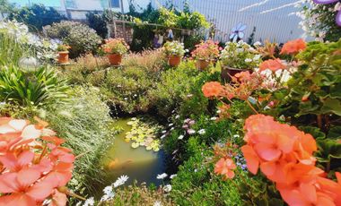 Venta de Propiedad Comercial en Casablanca