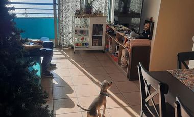 Departamento en Iquique. 3 Dormitorios.