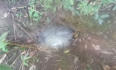 Terreno gran tamaño