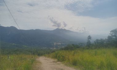 Terreno gran tamaño