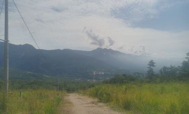 Terreno gran tamaño