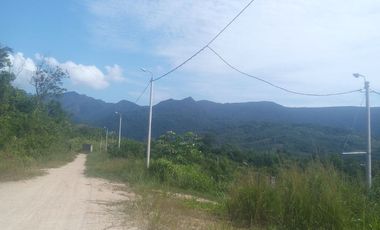 Terreno gran tamaño