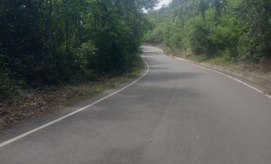 Terreno gran tamaño