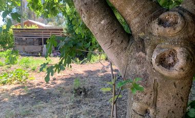 Se vende hermosa parcela agroresidencial en Pelarco