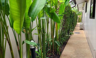 Family home 5 bed with private pool for sale in Doi Saket, Chiang Mai