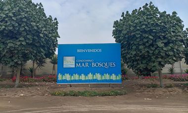 VENTA DE TERRENO, 512 M2, PUNTA NEGRA, VISTA PANORAMICA AL MAR, ENERGÍA ELÉCTRICA, PARA CASA