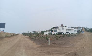 VENTA DE TERRENO, 512 M2, PUNTA NEGRA, VISTA PANORAMICA AL MAR, ENERGÍA ELÉCTRICA, PARA CASA