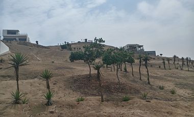 VENTA DE TERRENO, 512 M2, PUNTA NEGRA, VISTA PANORAMICA AL MAR, ENERGÍA ELÉCTRICA, PARA CASA