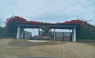 VENTA DE TERRENO, 512 M2, PUNTA NEGRA, VISTA PANORAMICA AL MAR, ENERGÍA ELÉCTRICA, PARA CASA