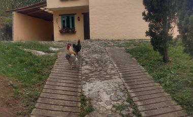 Finca en Venta Vereda el Uvito San Cristóbal. Medellín