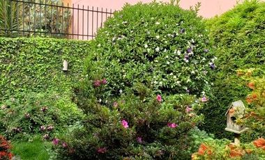 OFICINA O CONSULTORIO CON JARDIN EN UNICENTRO