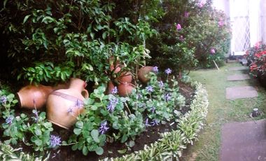 OFICINA O CONSULTORIO CON JARDIN EN UNICENTRO