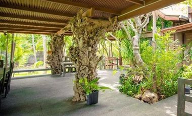🌟 FOR SALE: Prime Beachfront Property in Matabungkay, Lian, Batangas 🌟